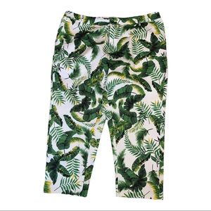 Ashley Stewart Tropical Leaf Print Capri Pants Size 20 Cotton Stretch Summer